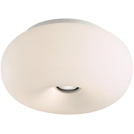 Светильник Odeon Light 2205/2C Pati