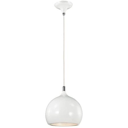 Светильник Odeon Light 2903/1 BULA