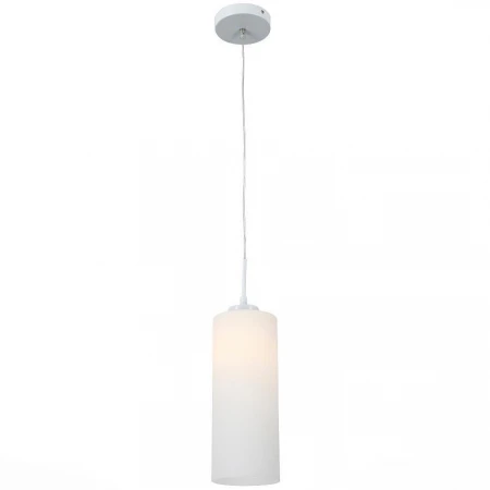 Светильник ST LUCE SL754.503.01 Sotti