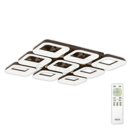 Светильник Citilux CL225295R Паркер