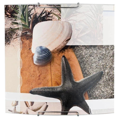 Бра Alfa 91387 SHEEL