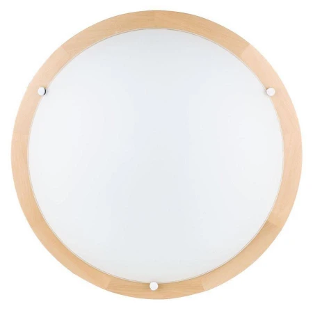 Настенно-потолочный светильник Spot Light 4753160 Frida