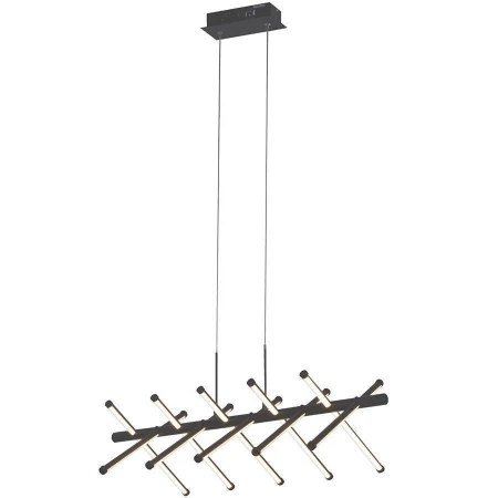 Светильник Favourite 2382-10P Carcass