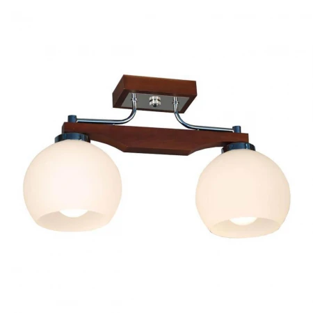 Потолочный светильник Citilux Ариста CL164321