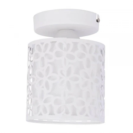 Потолочный светильник Arte Lamp Traforato A8349PL-1WH