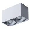 Потолочный светильник Arte Lamp Pictor A5654PL-2GY Потолочный светильник Arte Lamp Pictor A5654PL-2GY
