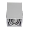 Потолочный светильник Arte Lamp Cardani A5942PL-1WH Потолочный светильник Arte Lamp Cardani A5942PL-1WH