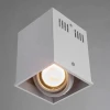 Потолочный светильник Arte Lamp Cardani A5942PL-1WH Потолочный светильник Arte Lamp Cardani A5942PL-1WH