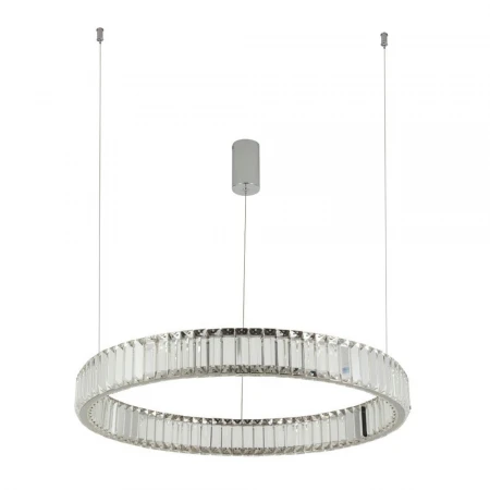 Подвесной светодиодный светильник Divinare Renata 1135/02 SP-36