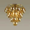 Потолочный светильник Odeon Light Grape 4812/6C