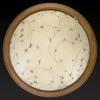 Настенно-потолочный светодиодный светильник Toplight Karissa TL9650Y-00OA